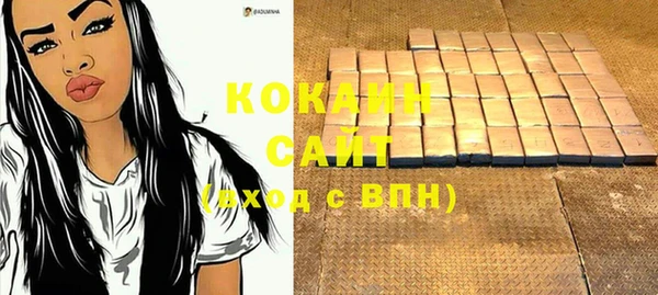 амф Бронницы
