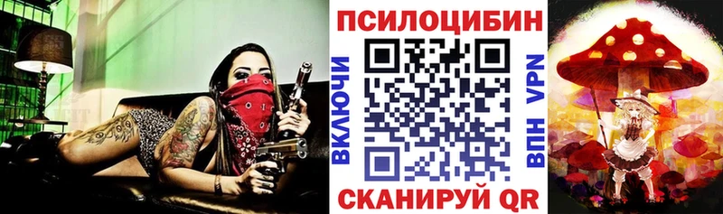 Галлюциногенные грибы Psilocybine cubensis  блэк спрут ссылка  Отрадная 