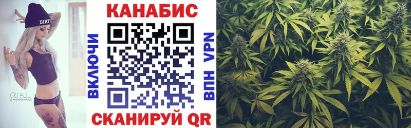 Конопля SATIVA & INDICA Отрадная